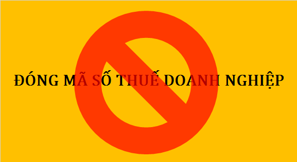 giai the cong ty quy nhon